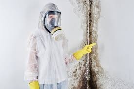 Best Residential Mold Inspection & Testing in USA